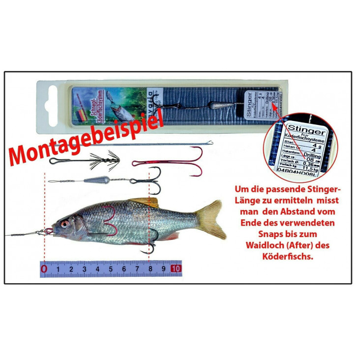 Bavaria KöderfischSystem Starterset Nr.1