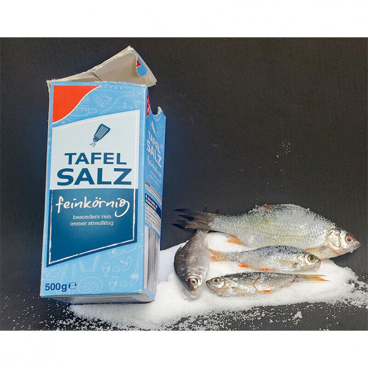 Bavaria KöderfischSystem Starterset Nr.1