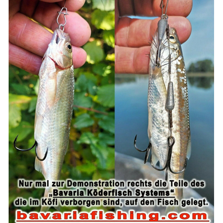 Bavaria KöderfischSystem Starterset Nr.1