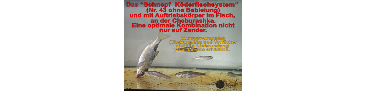 System mit Cheburashka